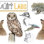 cuirt-labs-2019-web-version