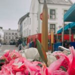Flowers blooming in Galway with the 8-ft Cuirt pencils in the background.